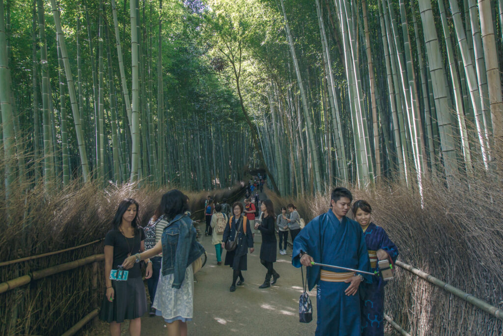 Best iconic place in Japan- Bamboo forest