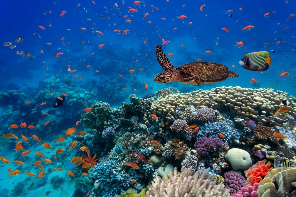 Australia's Great Barrier Reef