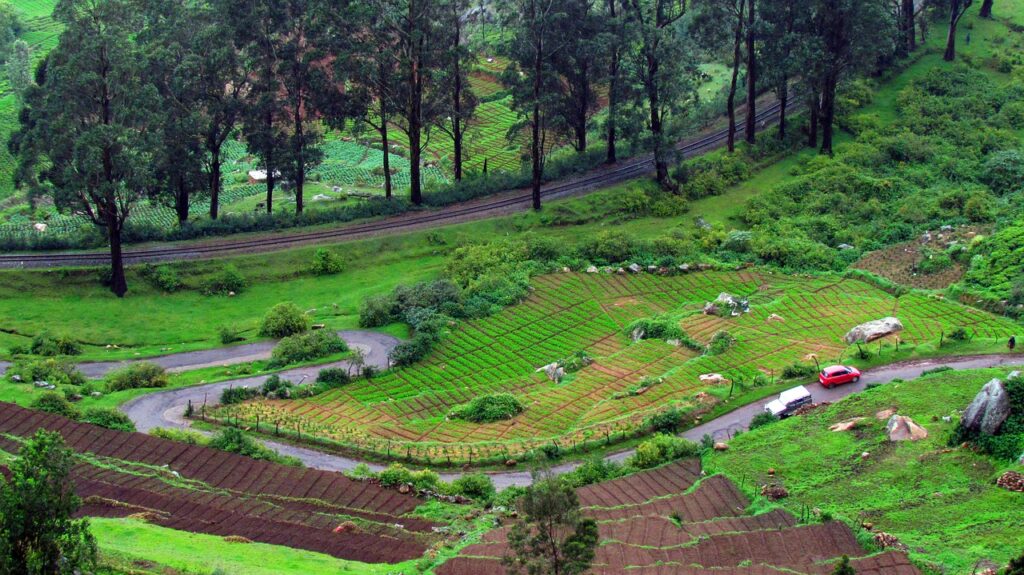 Top 3 Places in Ooty to Visit